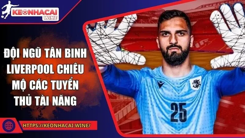 Đội ngũ tân binh Liverpool chiêu mộ các tuyển thủ tài năng