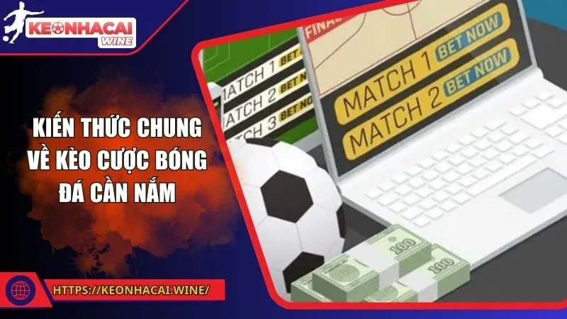Kiến thức chung về kèo cược bóng đá cần nắm